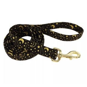 Accent Dog Metallic Leash BrtBlkGlxy Med/Lg 1"x6' New!